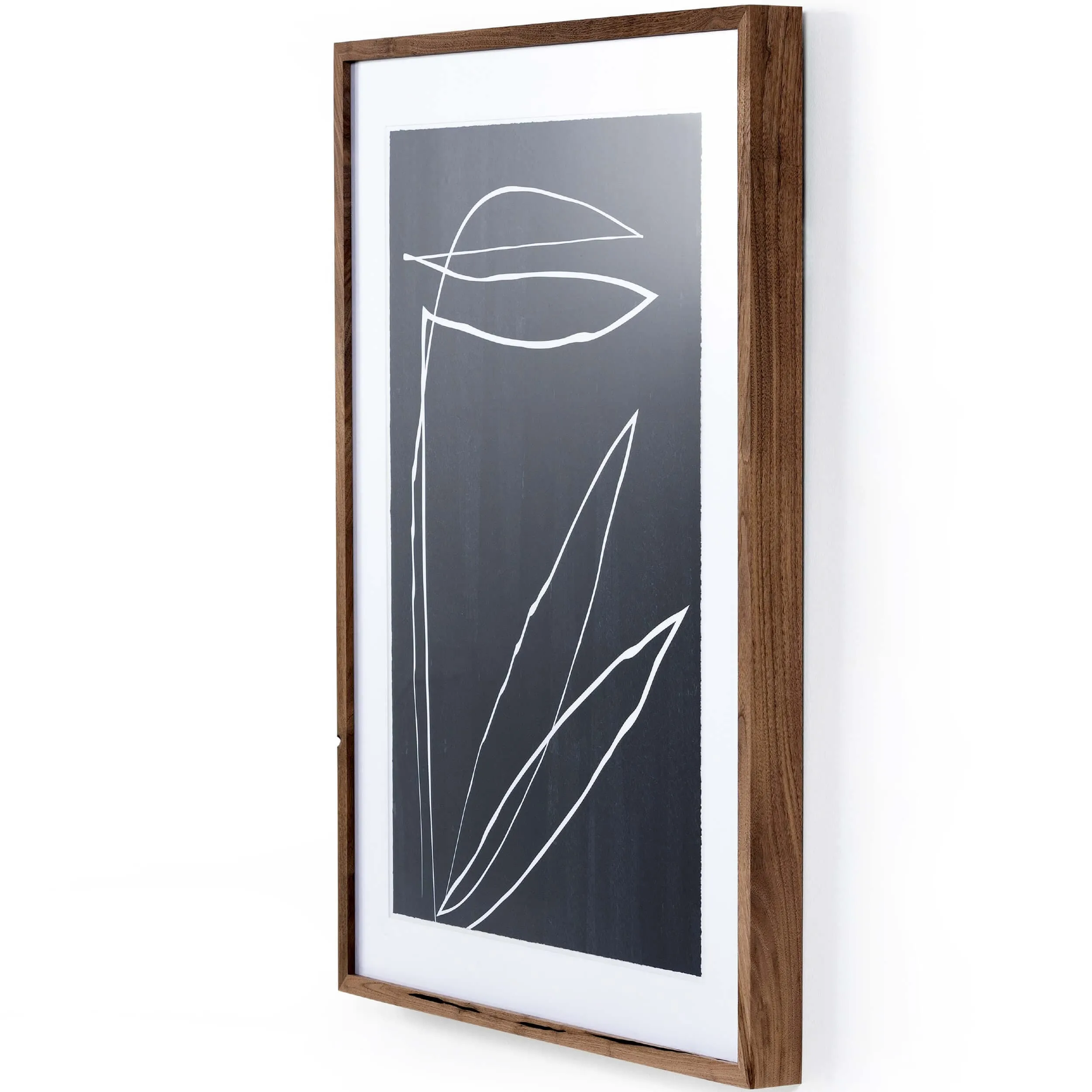 Abstract Botanic Line Drawing by Roseanne Kenny