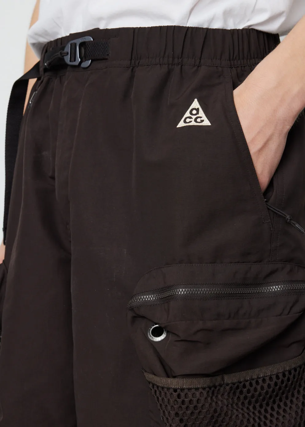 ACG 'Snowgrass' Cargo Shorts