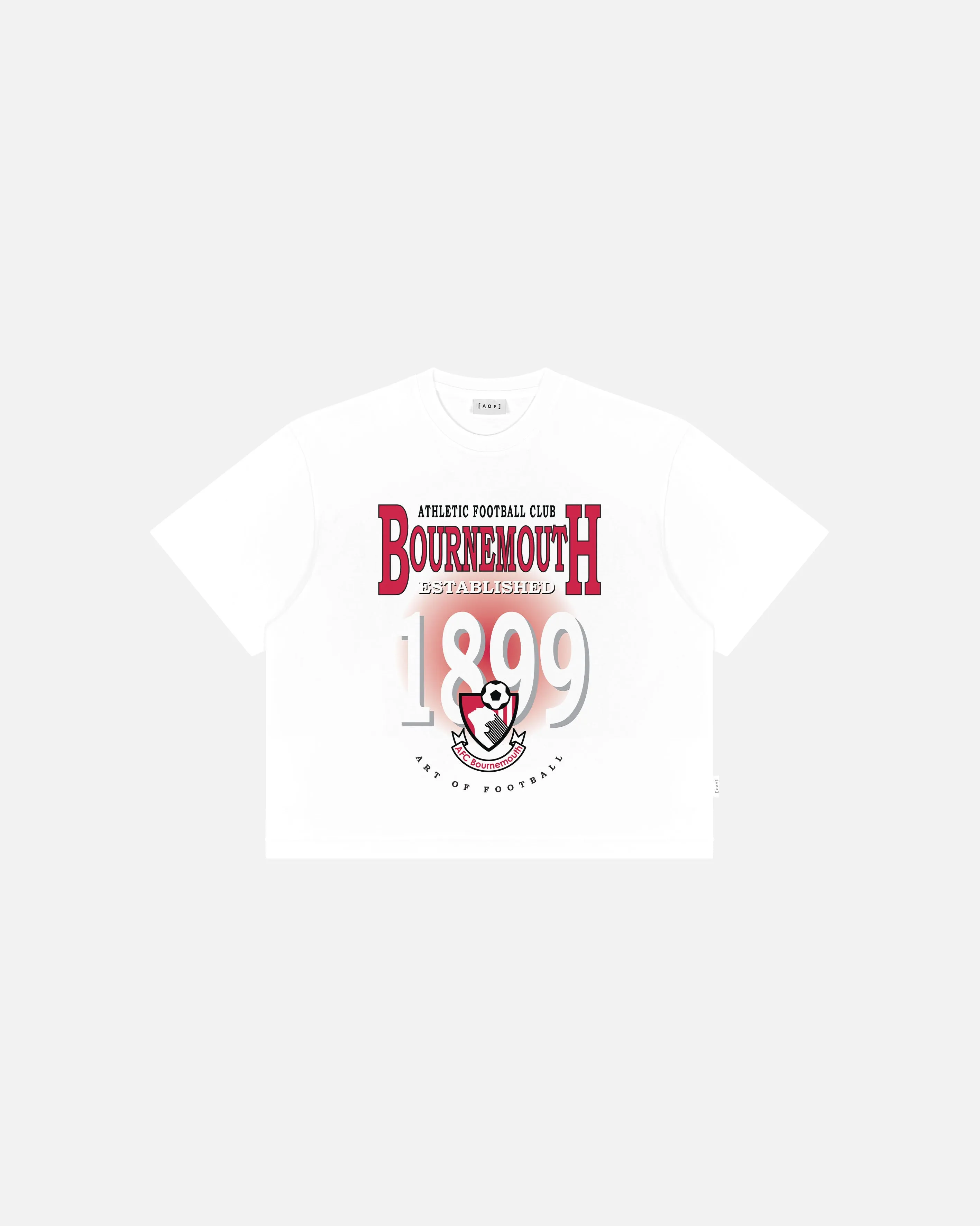 Bournemouth Retro Graphic Crop Fit Tee