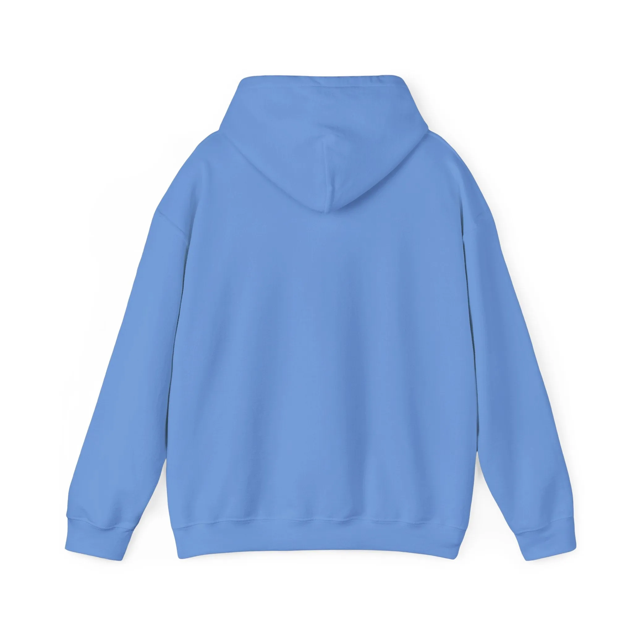 mens and women Heavy Blend™ Hooded Sweatshirt