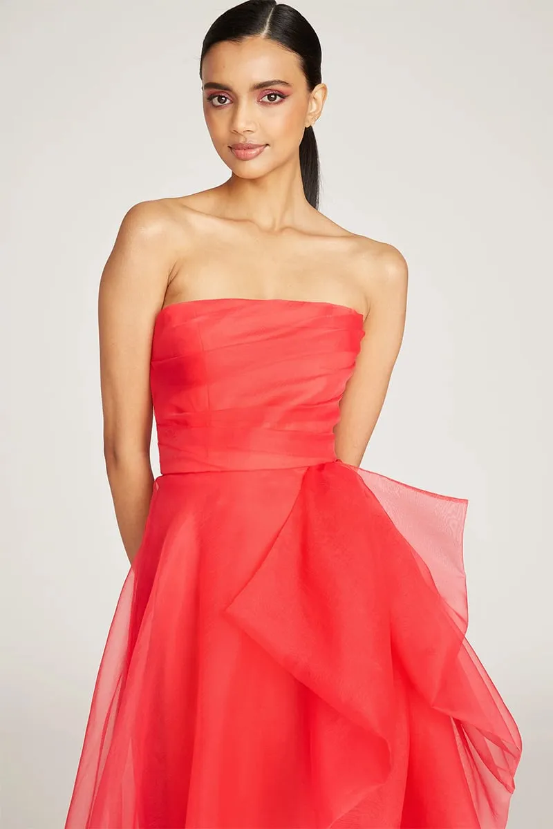 Zoa Strapless Maxi Dress